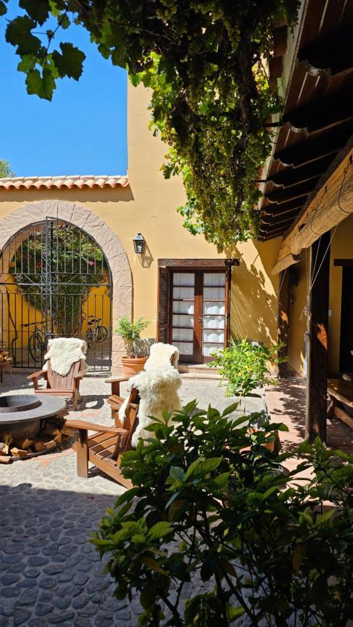 Vicuña Wine&boutique