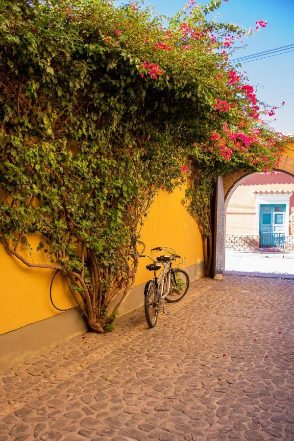 Vicuna Boutique Cafayate